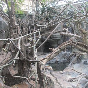 Tropics Trail Mixed Spieces Exhibit