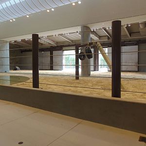 Elephant Trails- Elephant Community Center