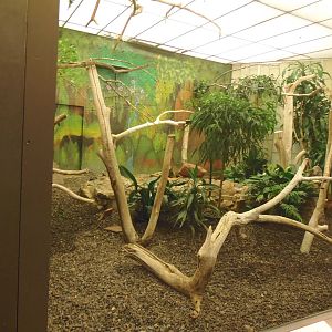 Bird House- Exhibit in Preparation