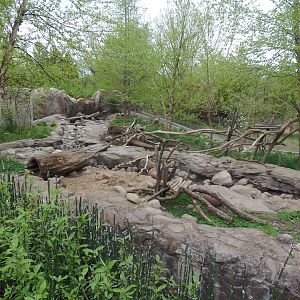 Asia Trail- Asian Small-Clawed Otter Exhibit