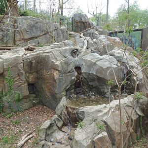 Asia Trail- Sloth Bear Exhibit
