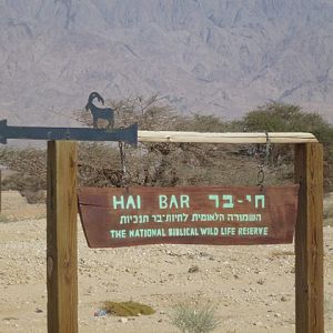 Hai Bar Yotveta Sign 23.4.13
