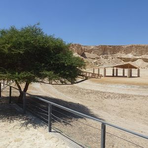 Arava Antelope Farm 23.4.13