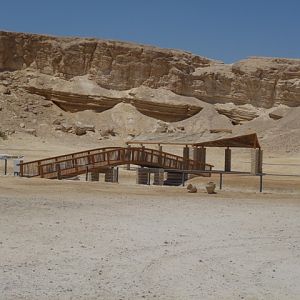 Arava Antelope Farm 23.4.13