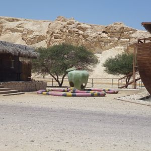 Arava Antelope Farm 23.4.13