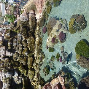 Eilat Underwater Observatory Marine Park 24.4.13