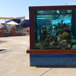 Eilat Underwater Observatory Marine Park 24.4.13