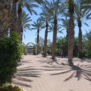 Zoological Garden of Beersheba 25.4.13