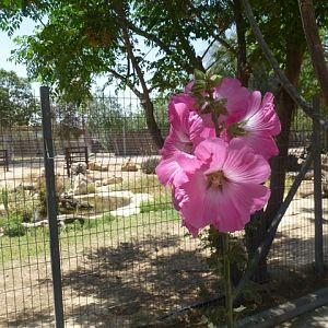 Zoological Garden of Beersheba 25.4.13