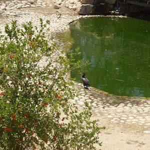 Zoological Garden of Beersheba 25.4.13