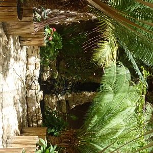 Arava Antelope Farm 23.4.13