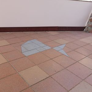 Eilat Underwater Observatory Marine Park 24.4.13