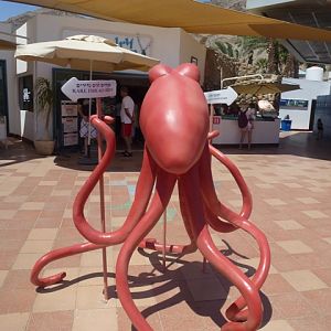 Eilat Underwater Observatory Marine Park 24.4.13