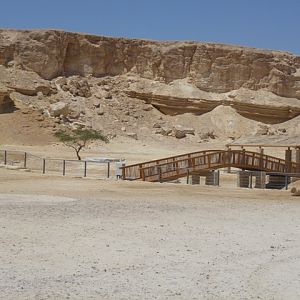 Arava Antelope Farm 23.4.13