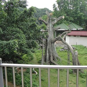 Chimpanzee Enclosure at Nanning zoo 2013-4-27
