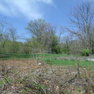 Empty Exhibit (Part 2)