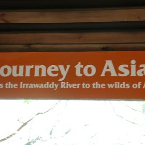 Journey to Asia