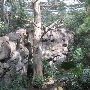 Tropics Trail Bird Aviary