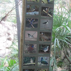 Tropics Trail Asia Avairy Species List