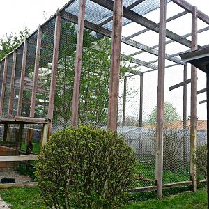 Hueston Woods Nature Center - Bald + Golden Eagle Exhibit