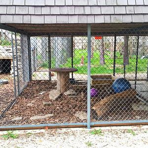 Hueston Woods Nature Center - Cougar Exhibit 1