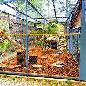 Hueston Woods Nature Center - Cougar Exhibit 2