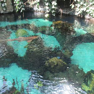 Tropics Trail Reef Exhibit