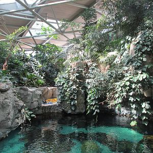 Tropics Trail Reef Exhibit