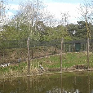 Goliath heron enclosure