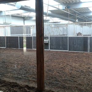 indoor okapi enclosure