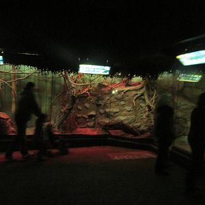 Tropics Trail Nocturnal South American Exhibits