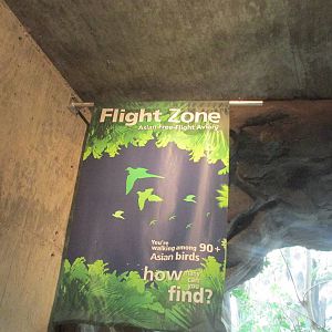 Tropics Trail Flight Zone