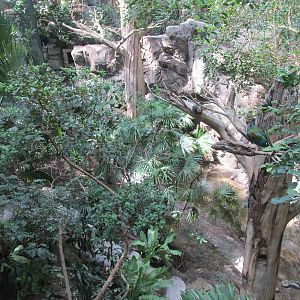 Tropics Trail Asian Aviary