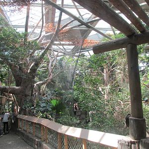Tropics Trail Asian Aviary