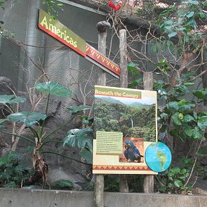 Tropics Trail Americas