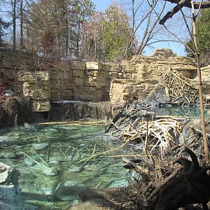 Minnesota Trail Beaver Exhibit