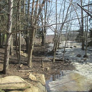 Minnesota Trail Coyote Exhibit