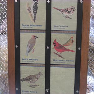 Minnesota Trail NA Bird Avairy Sign