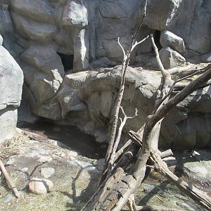 Minnesota Trail Wolverine Exhibit