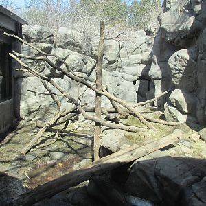 Minnesota Trail Wolverine Exhibit