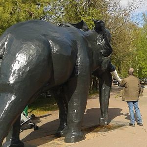 Vogelcommando leaving Beekse Bergen ;)