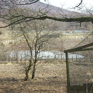 New exhibit under construction