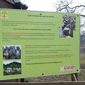 Conservation board beside Ring-tailed lemur and red-ruffed lemur exhibits.