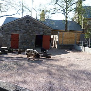 KidZoo U: Sheep Yard