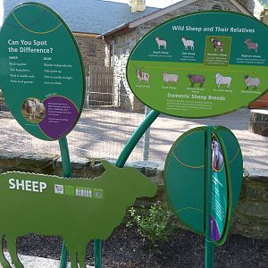 KidZoo U: Sheep Sign