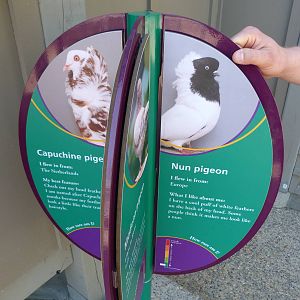 KidZoo U: Pigeon Sign