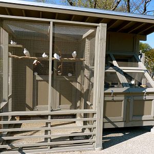 Kid Zoo U: Pigeon Exhibit