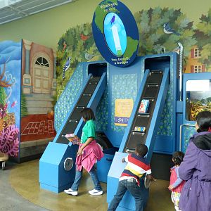 KidZoo U: Recycling