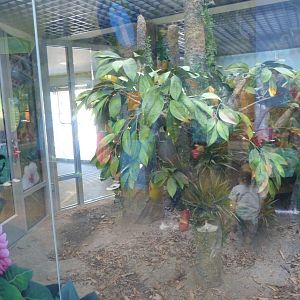KidZoo U: Butterfly Exhibit