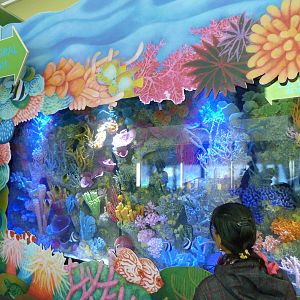 KidZoo U: Tropical Fish Exhibit